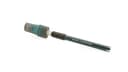 pH Sensor